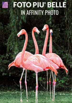 MAPB-corso-Affinity-Photo-Foto-piu-Belle